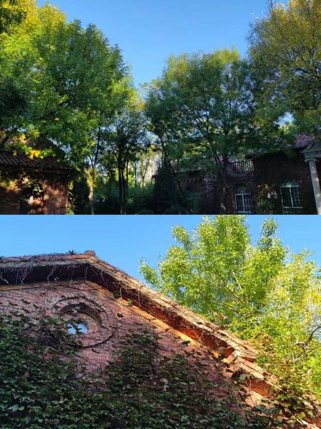 中國孫子文化園體驗感拉滿！東營廣饒·孫子文化園