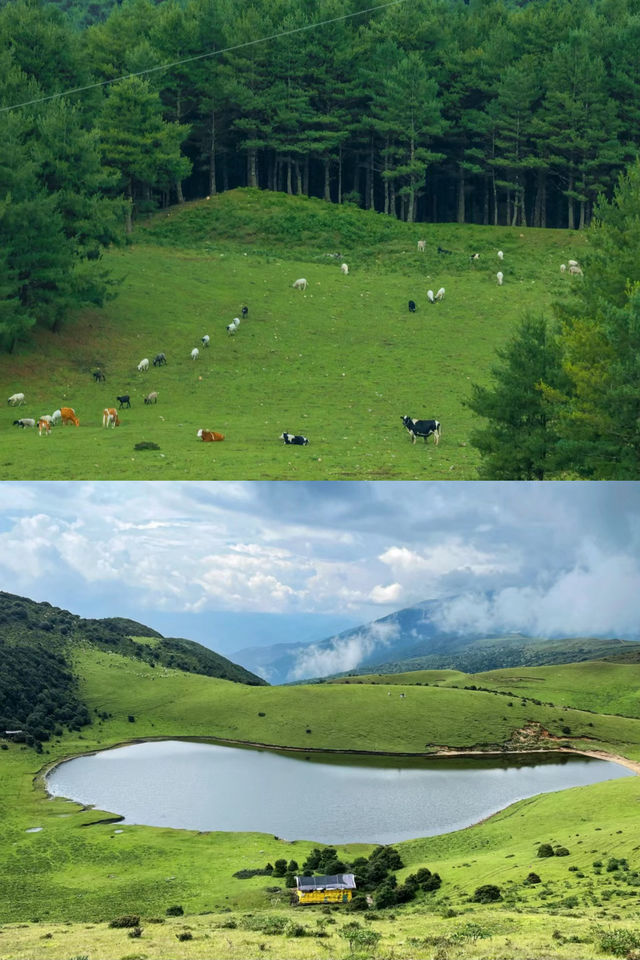 大埋與幣山徒步眾雲室人有目己的阿泰
