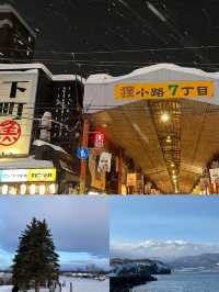 【北海道冬日奇遇】6天5晚，探索北國風光與城市繁華！