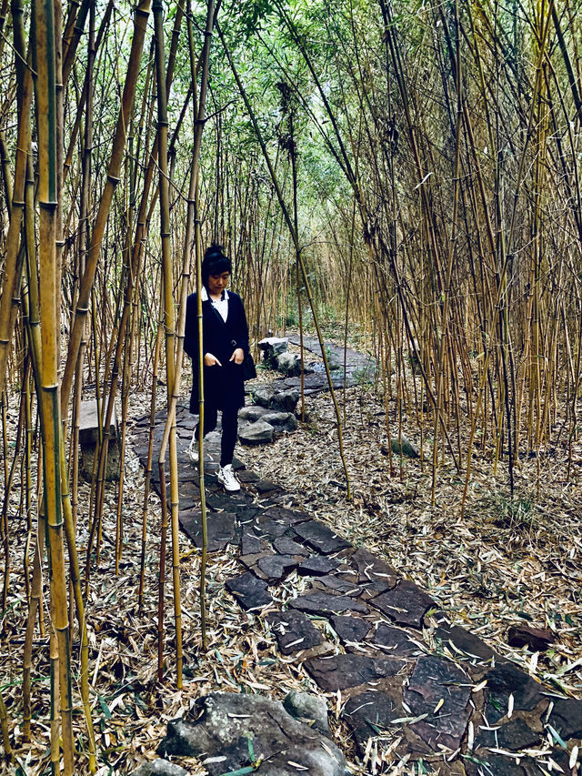 逛大觀園,憶“紅樓夢”裡的人情世故|自駕路上 逛大觀園,憶“紅樓夢”裡的人情世故|自駕路上