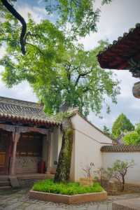 如果說古樹是南郭寺的根，那杜詩就是南郭寺的魂。