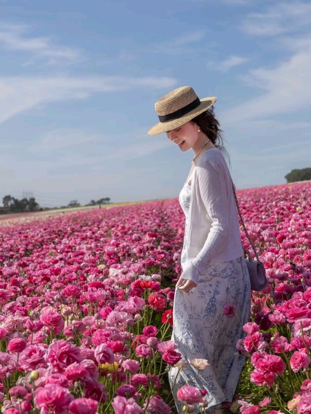 Most Beautiful Flower Field in Southern California🌹