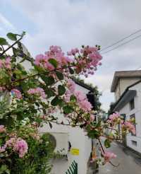 蘇州免費園林嘅天花板.....蘇州十全街附近嘅免費私家園林太好影咗幾乎冇人!真係黎一次鍾意一次。