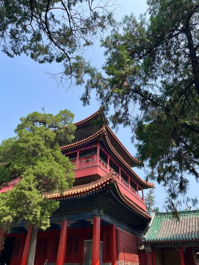 2024自駕遊蘇魯豫(六)：古聖先賢祠——曲阜孔廟。