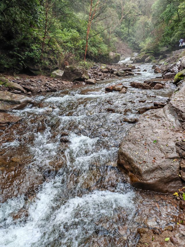 中秋遊六盤山。