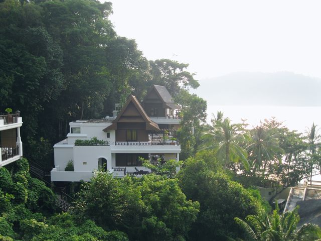 人醉綠中海。