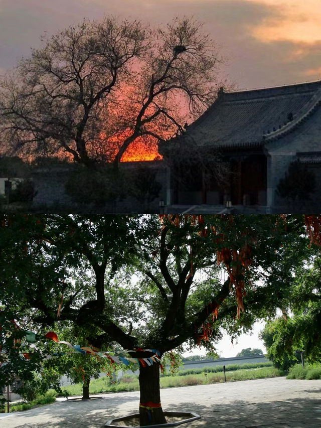 堪比雍王府的孝莊園。