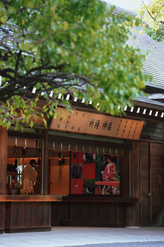 以為名古屋已經夠美了，直到我來了熱田神宮。