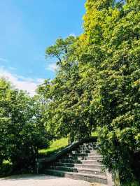 魅力索契，奇幻索契植物園｜黑海之濱的熱帶綠洲之旅。