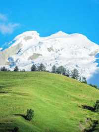 走,帶你進入宮崎駿的漫畫世界。。