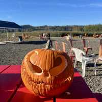 Spooky Halloween Attractions In the Haunted house