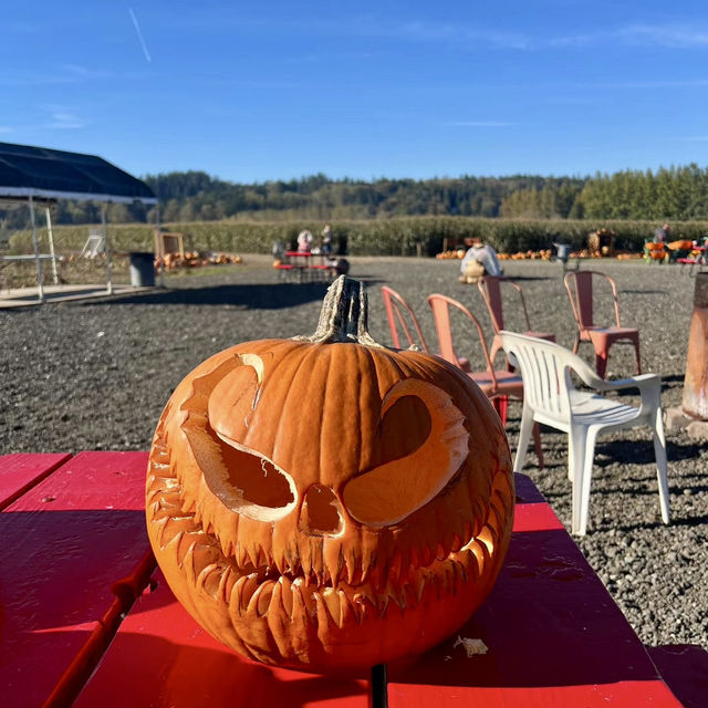 Spooky Halloween Attractions In the Haunted house