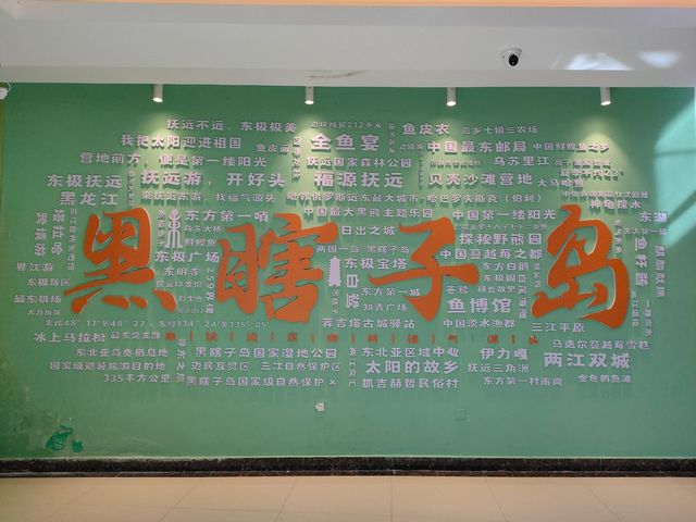 黑瞎子島深度遊：探秘邊境的神秘之旅。