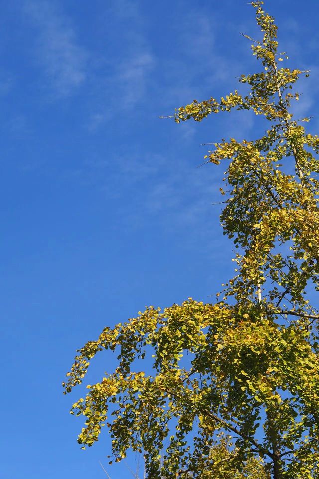 週末好去處：南雄帽子峰。