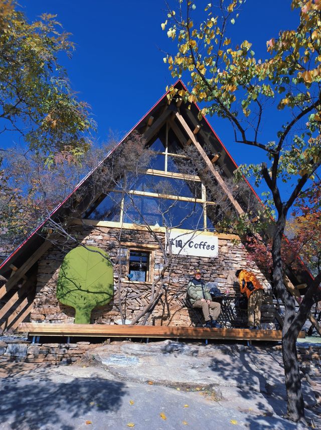 反正我是瘋了！坡峰嶺紅葉如灼！。