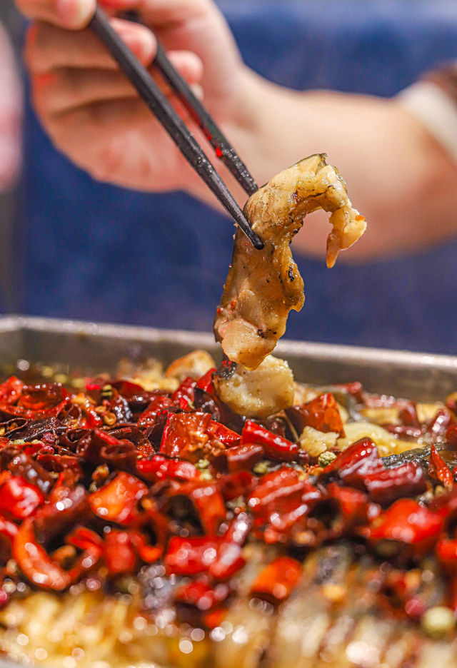 深圳酸菜魚, 魚酷