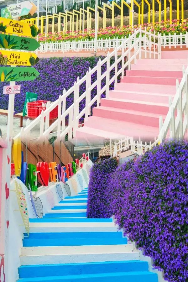 Discover the Charm of Cameron Highlands with RM25 Little Greece