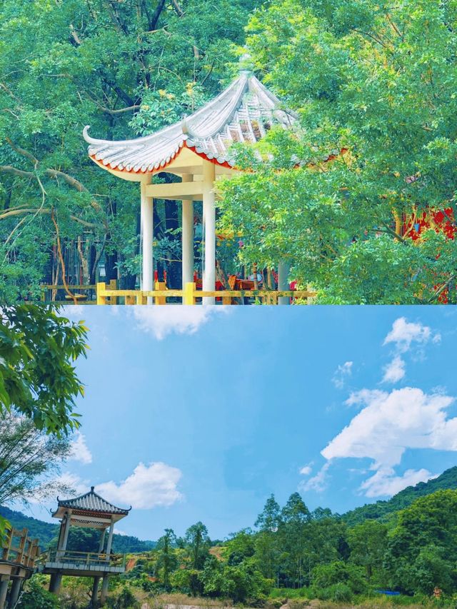 邂逅自然之美：肇慶奇石河的驚艷瞬間。