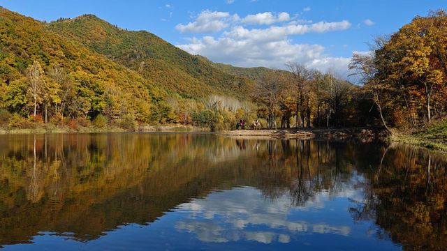 山色正濃伊春行（五）：秋意五花山。