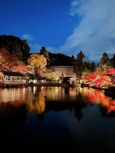 名古屋東山植物園の景観美。