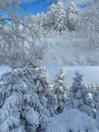 長白山看雪不來長白山會後悔！。