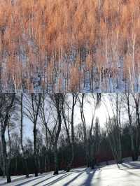 張家口崇禮滑雪攻略‖打卡避坑指南。