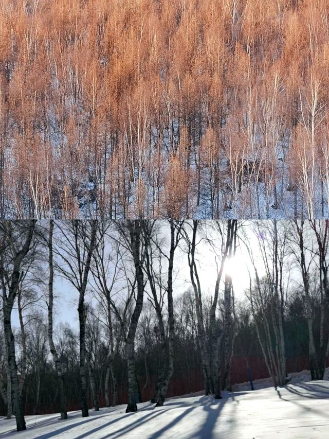 張家口崇禮滑雪攻略‖打卡避坑指南。