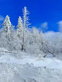 牡丹江雪鄉|夢幻冰雪世界的極致之旅。