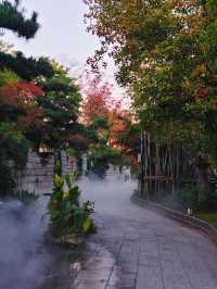 南京金陵小城|夢回六朝，誰不道聲醉美金陵。