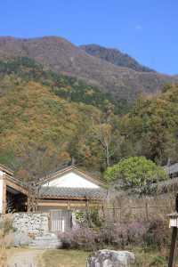 藏於山水間的靜謐庭院。