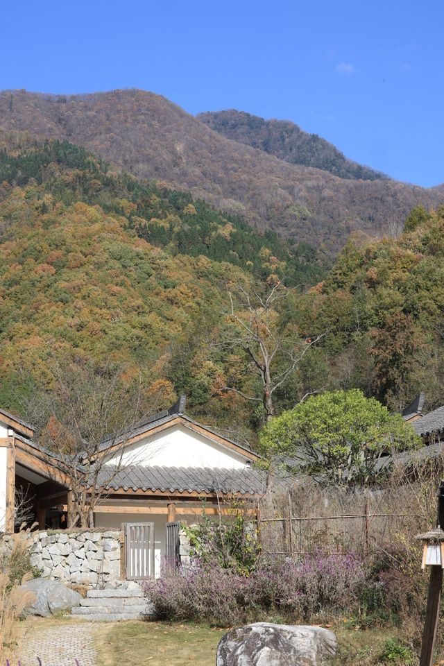 藏於山水間的靜謐庭院。