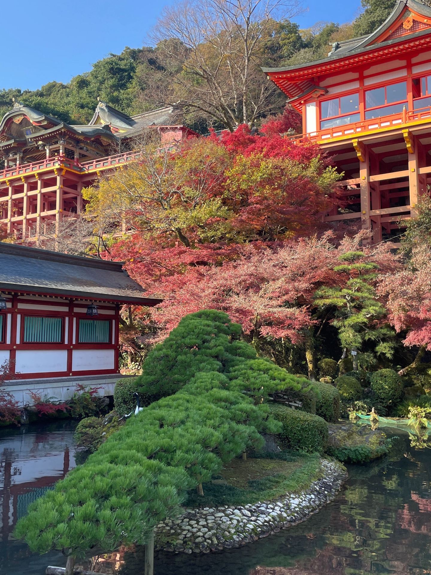 6-Day Japan Travel Guide: Save Now!