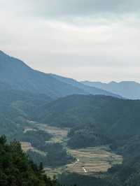 清遠｜金子山