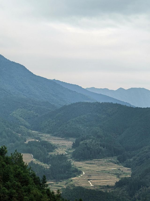 清遠｜金子山