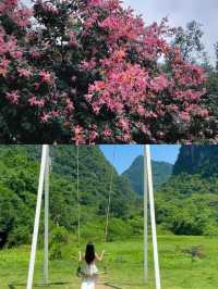 陽朔妙在山野民宿:山水畫卷中的溫馨驛站