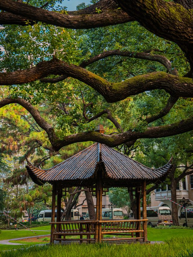 地鐵直達，上海不花錢可以逛一天的精神避難所