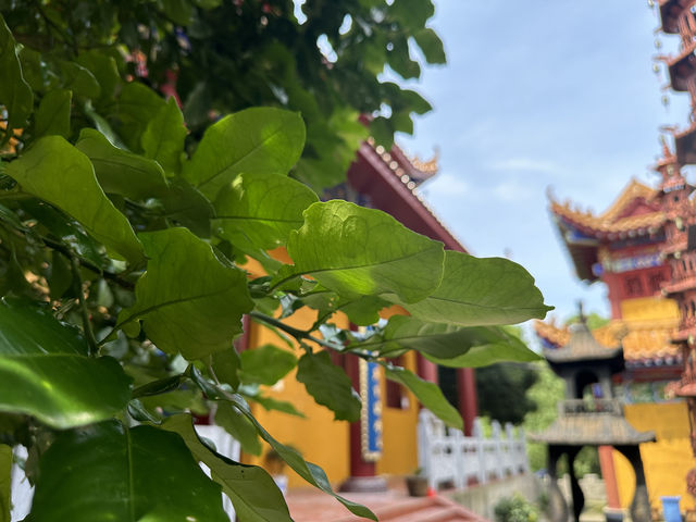 ～南昌 4 天 3 晚深度遊～