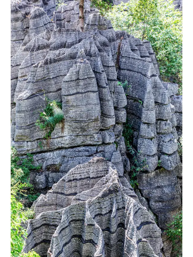 엔스 토가족 묘족 자치주 6일｜여행 가이드