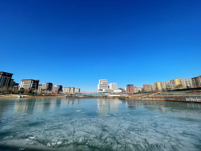 雄安丨靜謐冬日裏的美景。