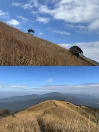 邂逅大南山，領略自然之美