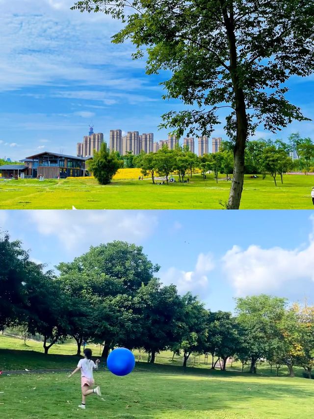 成都公園/週末遛娃露營好去處
