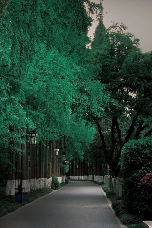 蘇州市 · 亭林園
