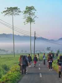 泗水｜【探秘塞梅魯火山】 這裡是大自然的心跳！