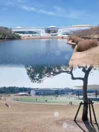 艾奇紀念公園遊記——城市中的綠洲
