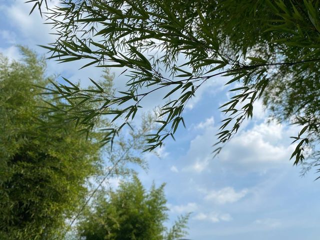 探秘韓國竹博物館，邂逅竹韻之美