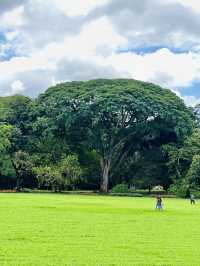 Exploring the Royal Botanic Gardens in Kandy, Sri Lanka