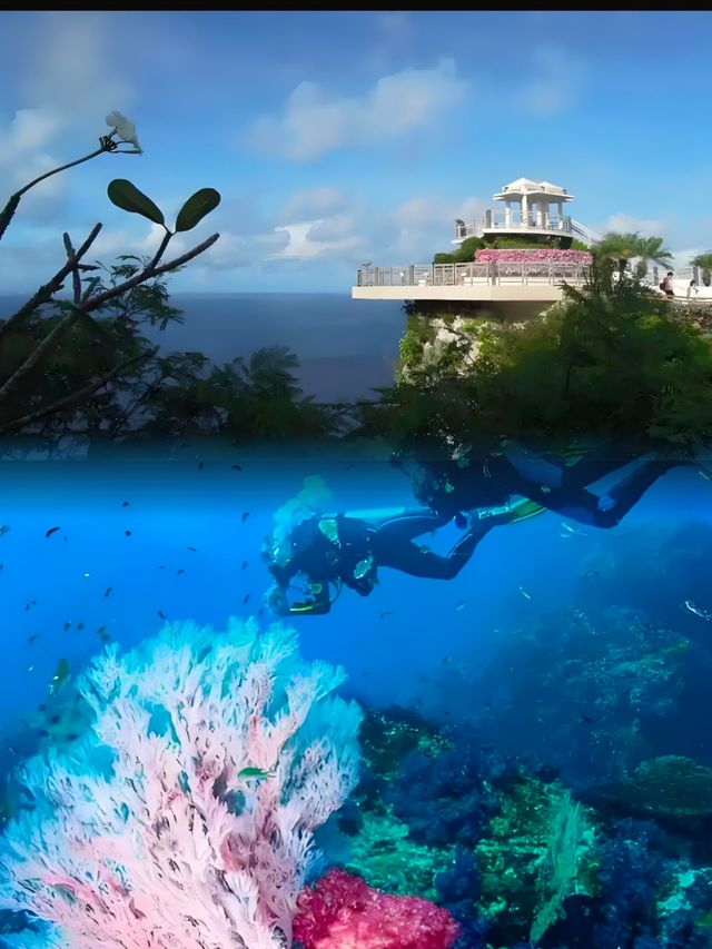 在關島，不可錯過的戀人岬，感受超讚潛水