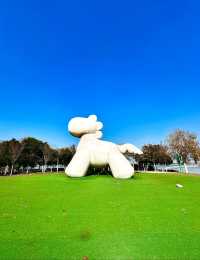 為流浪貓建的小島！竟然在淮安！