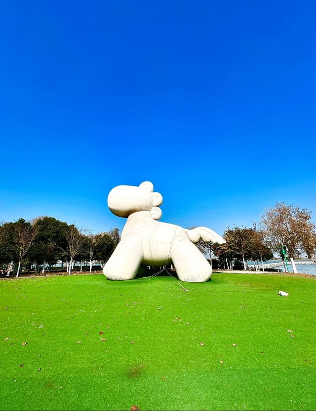為流浪貓建的小島！竟然在淮安！