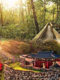 《探秘韓國高敞郡：鬼怪拍攝地與絕美旅行攻略！》